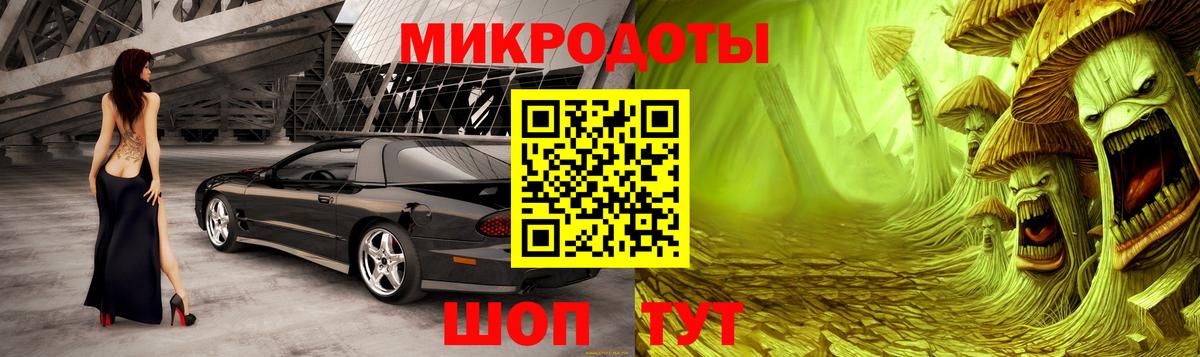 Псилоцибиновые грибы мицелий Дедовск